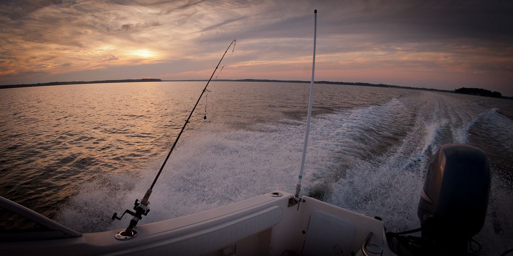 Skyline view from the deck of the Clamity Jane